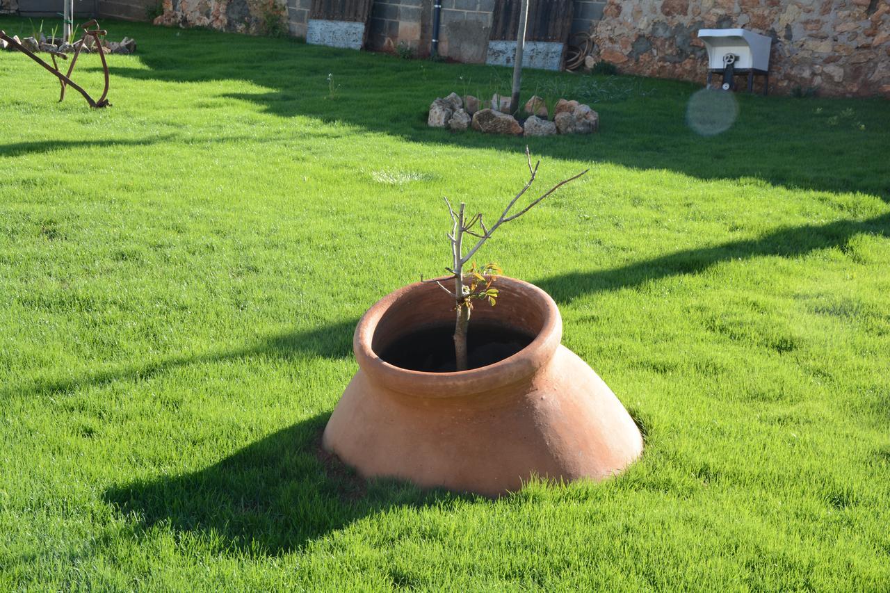 Casa Rural Aromas De La Manchuela Alborea Buitenkant foto